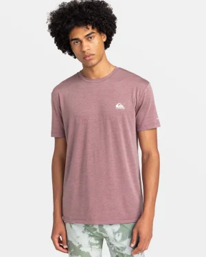 Quiksilver Tees>Coastal Run T-Shirt GRAPESHAKE