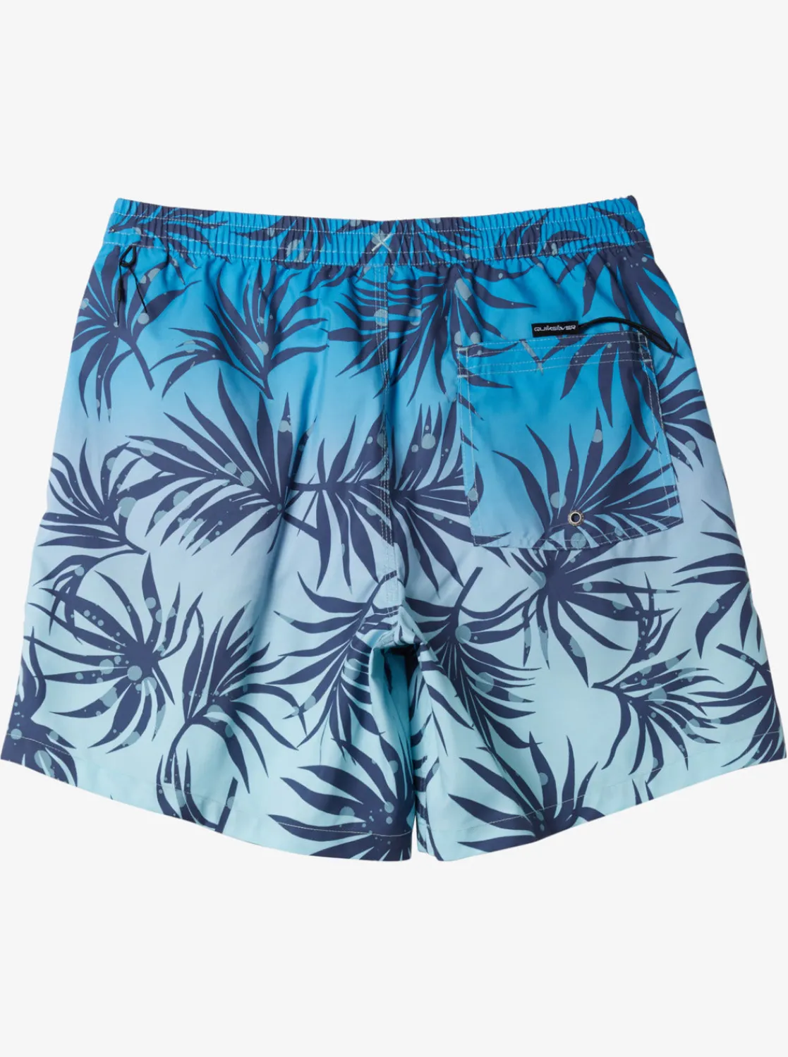 Quiksilver Boardshorts | Boardshorts>Everyday Mix 17" Swim Trunks BLUEFOG