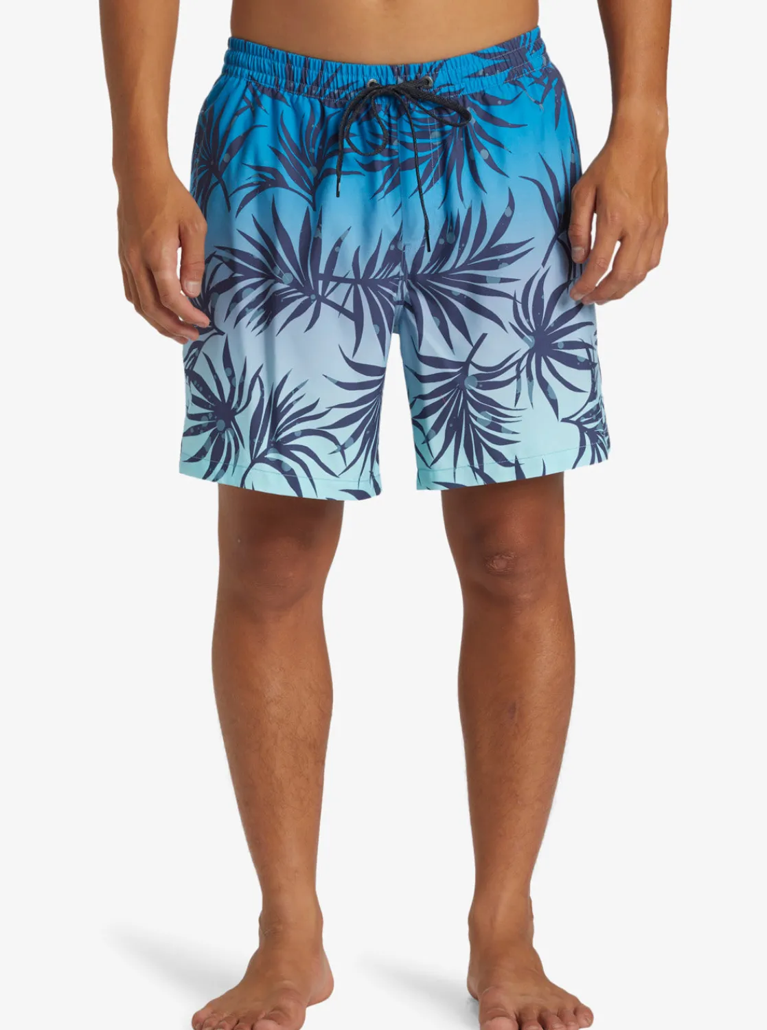 Quiksilver Boardshorts | Boardshorts>Everyday Mix 17" Swim Trunks BLUEFOG