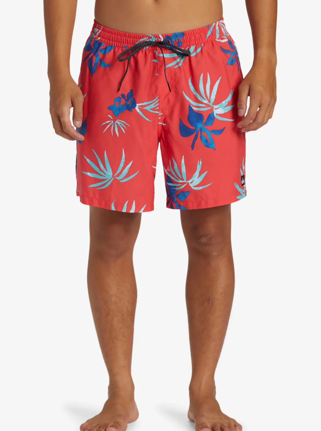 Quiksilver Boardshorts | Boardshorts>Everyday Mix 17" Swim Trunks CAYENNE