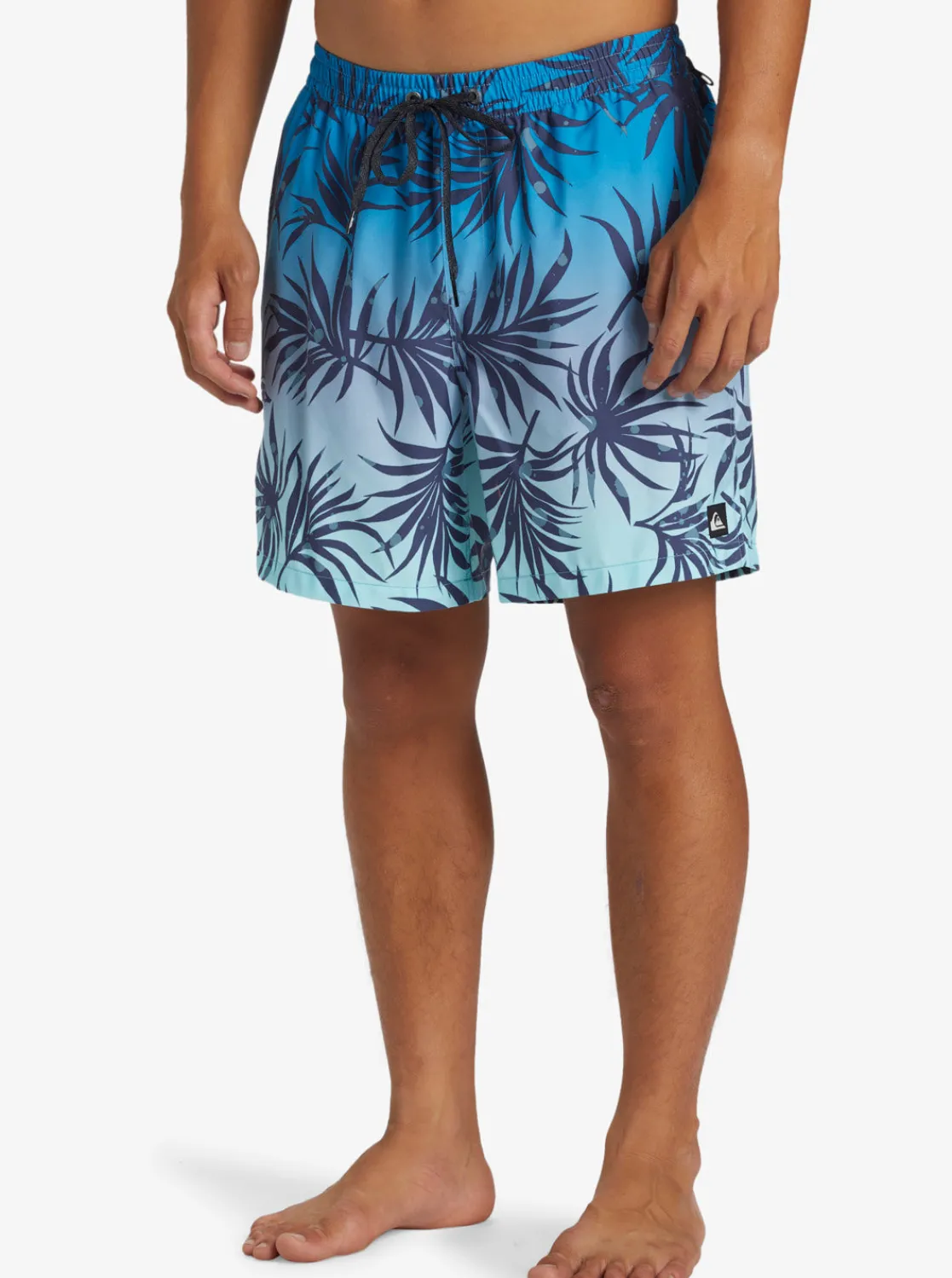 Quiksilver Boardshorts | Boardshorts>Everyday Mix 17" Swim Trunks BLUEFOG