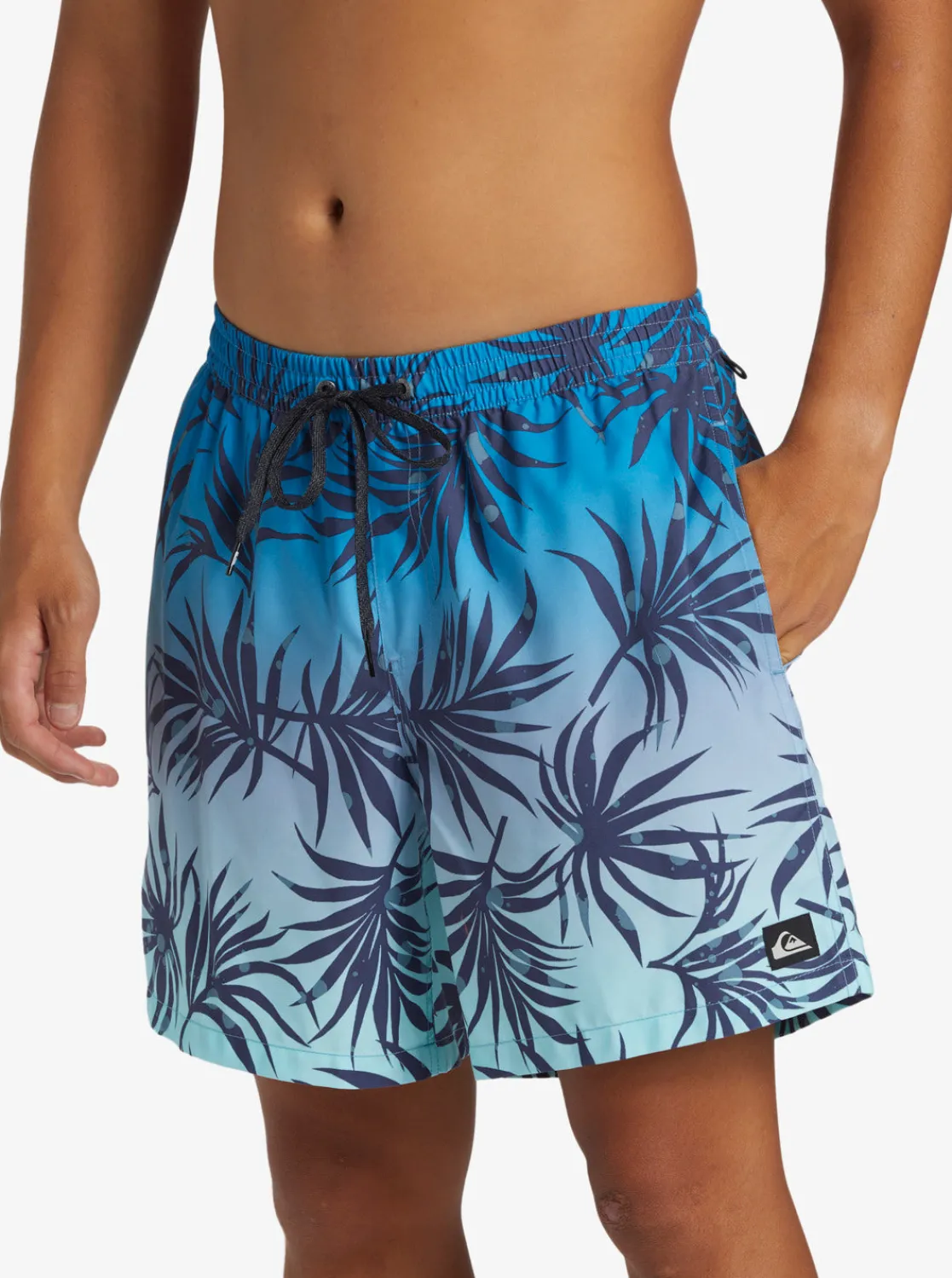 Quiksilver Boardshorts | Boardshorts>Everyday Mix 17" Swim Trunks BLUEFOG