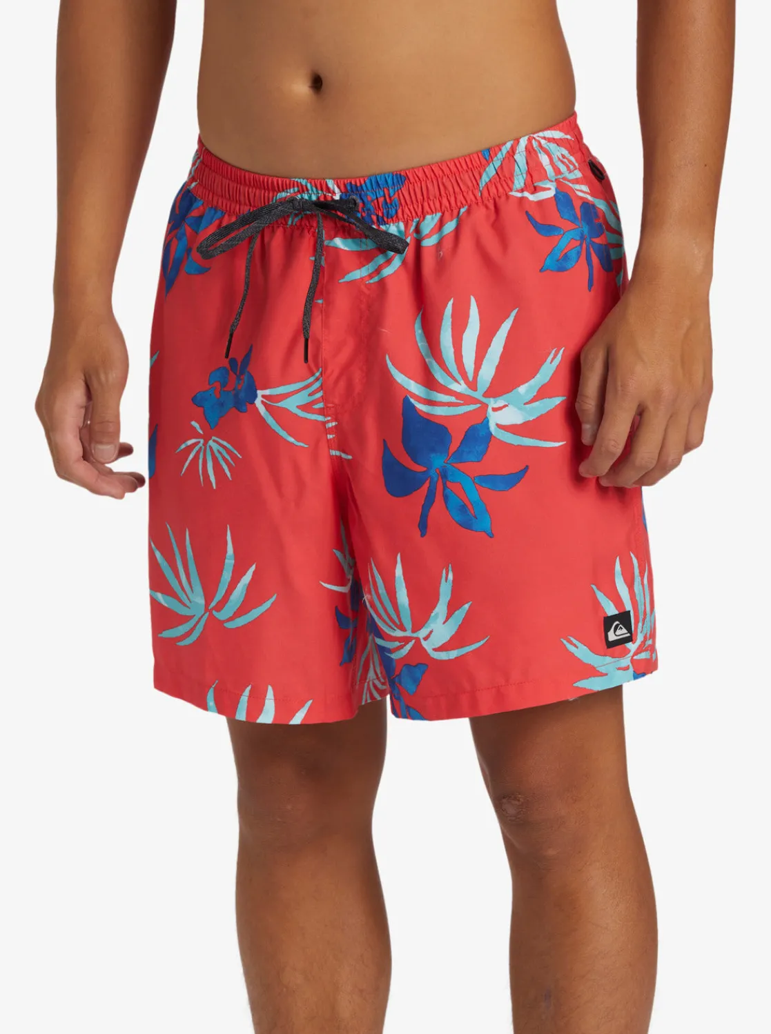 Quiksilver Boardshorts | Boardshorts>Everyday Mix 17" Swim Trunks CAYENNE