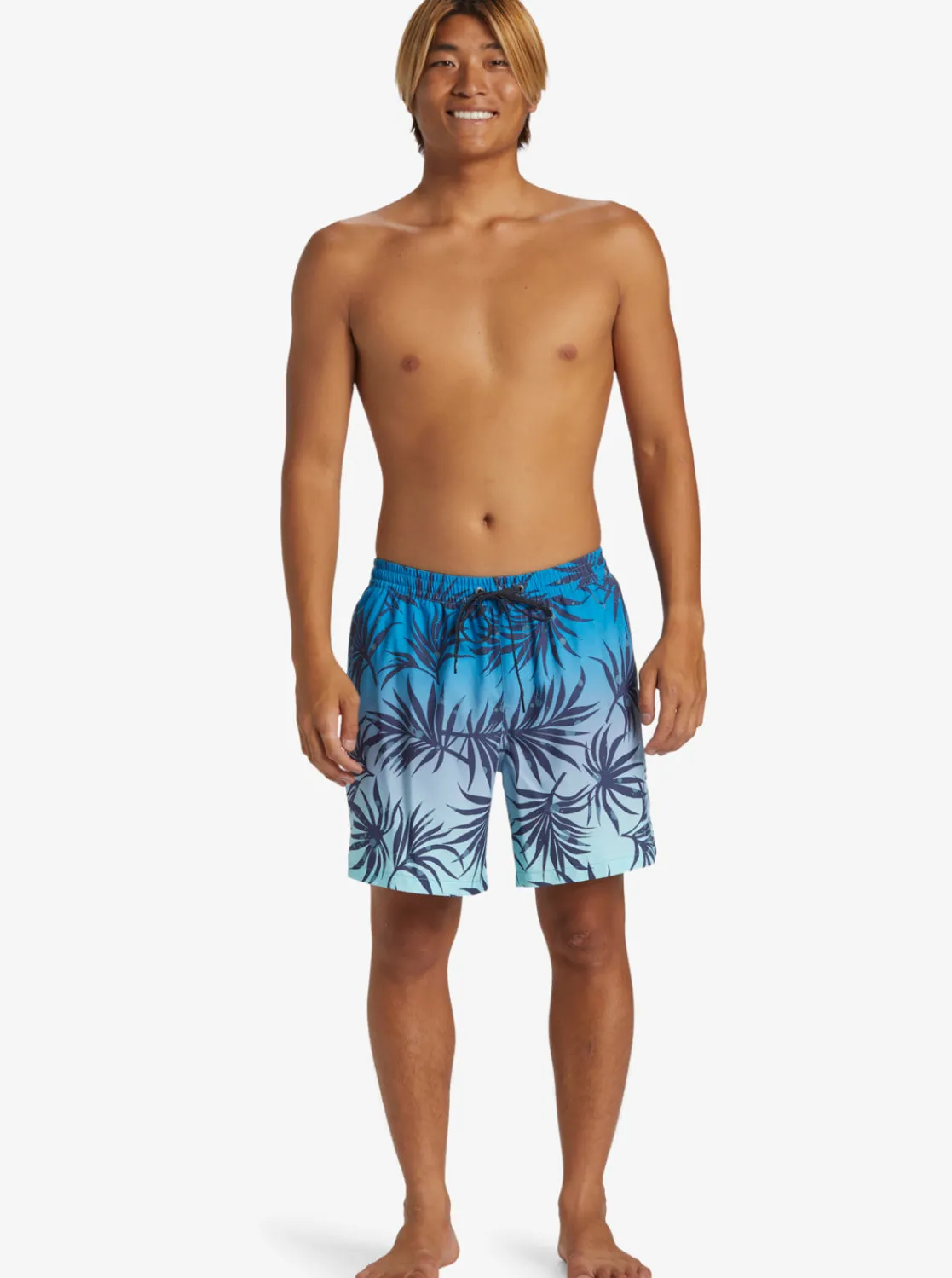 Quiksilver Boardshorts | Boardshorts>Everyday Mix 17" Swim Trunks BLUEFOG