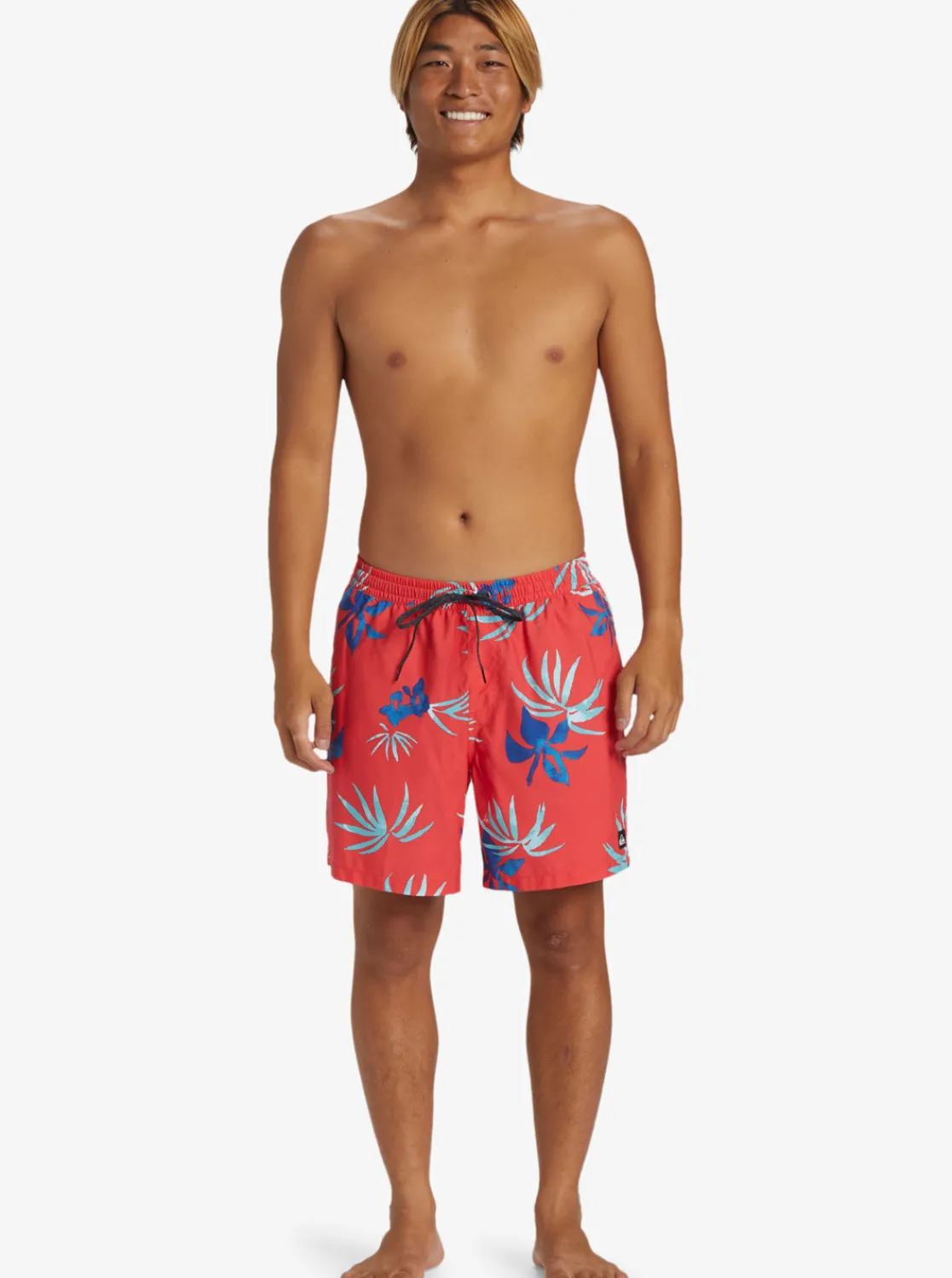 Quiksilver Boardshorts | Boardshorts>Everyday Mix 17" Swim Trunks CAYENNE