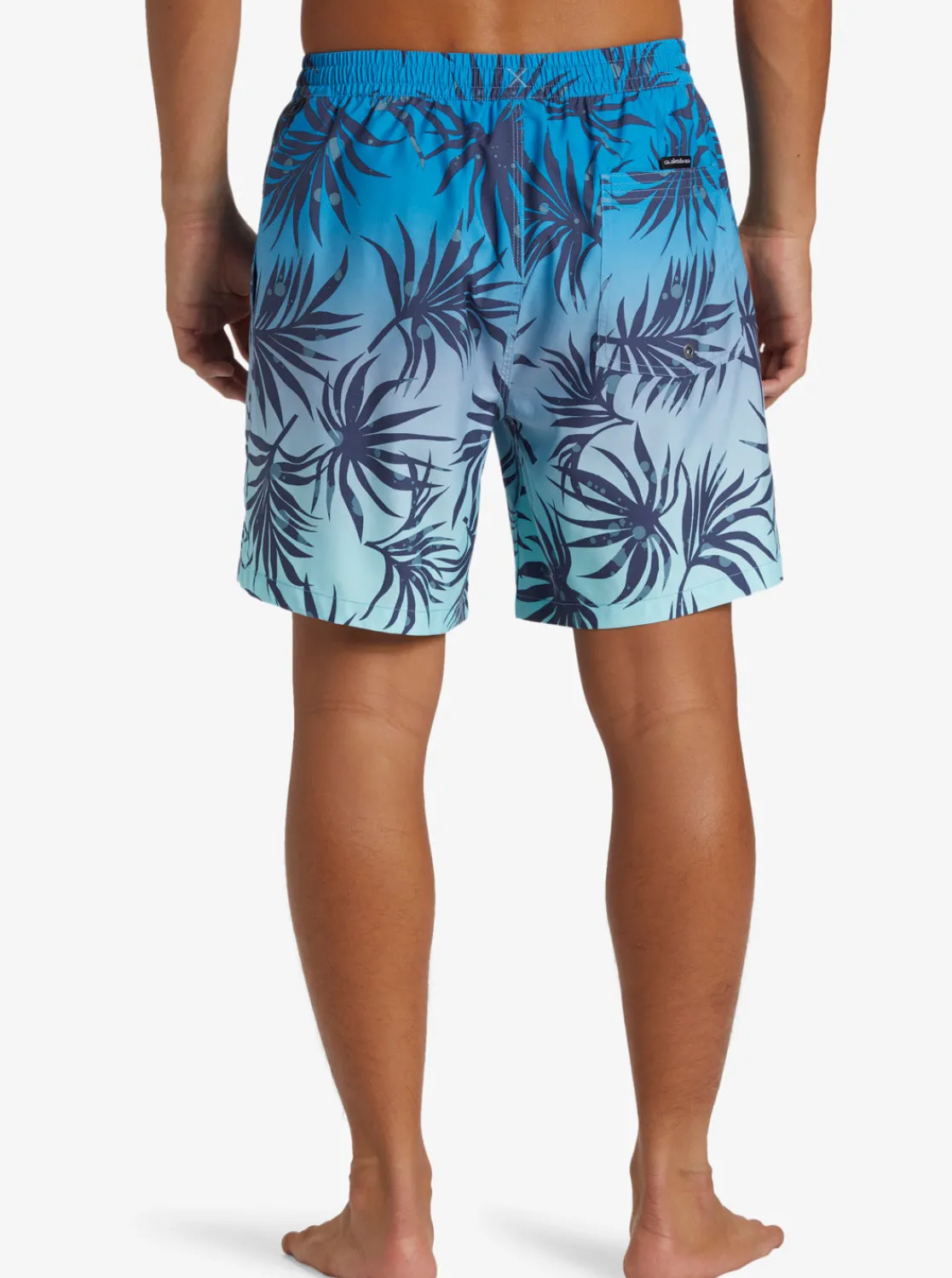 Quiksilver Boardshorts | Boardshorts>Everyday Mix 17" Swim Trunks BLUEFOG