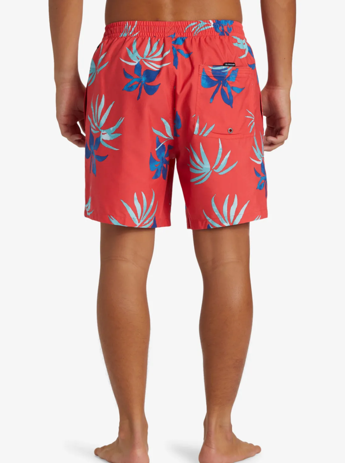 Quiksilver Boardshorts | Boardshorts>Everyday Mix 17" Swim Trunks CAYENNE