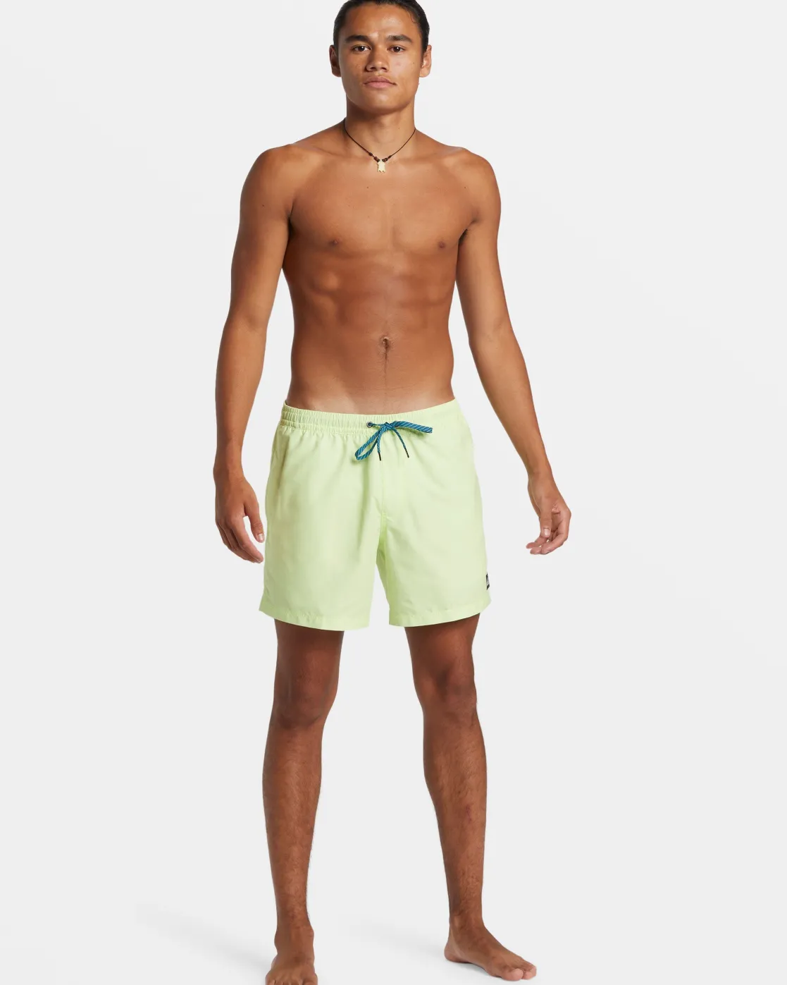 Quiksilver Boardshorts | Boardshorts>Everyday Solid 15" Swim Trunks SHADOWLIME
