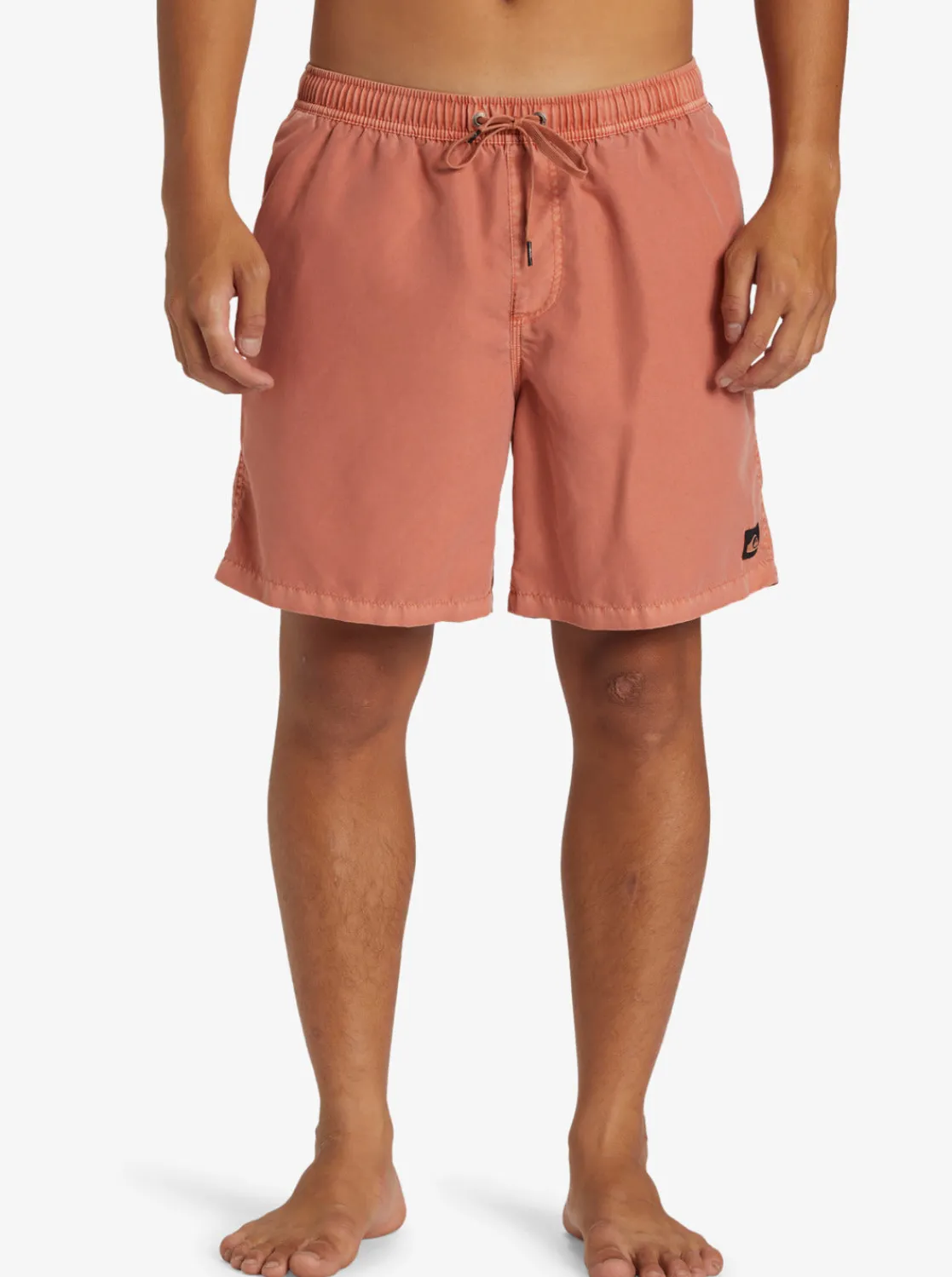 Quiksilver Boardshorts | Boardshorts>Everyday Surfwash 17" Swim Trunks CANYONCLAY