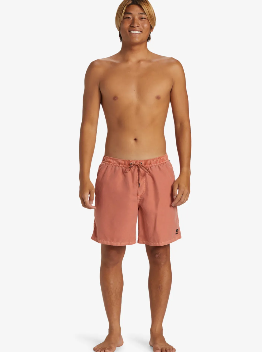 Quiksilver Boardshorts | Boardshorts>Everyday Surfwash 17" Swim Trunks CANYONCLAY