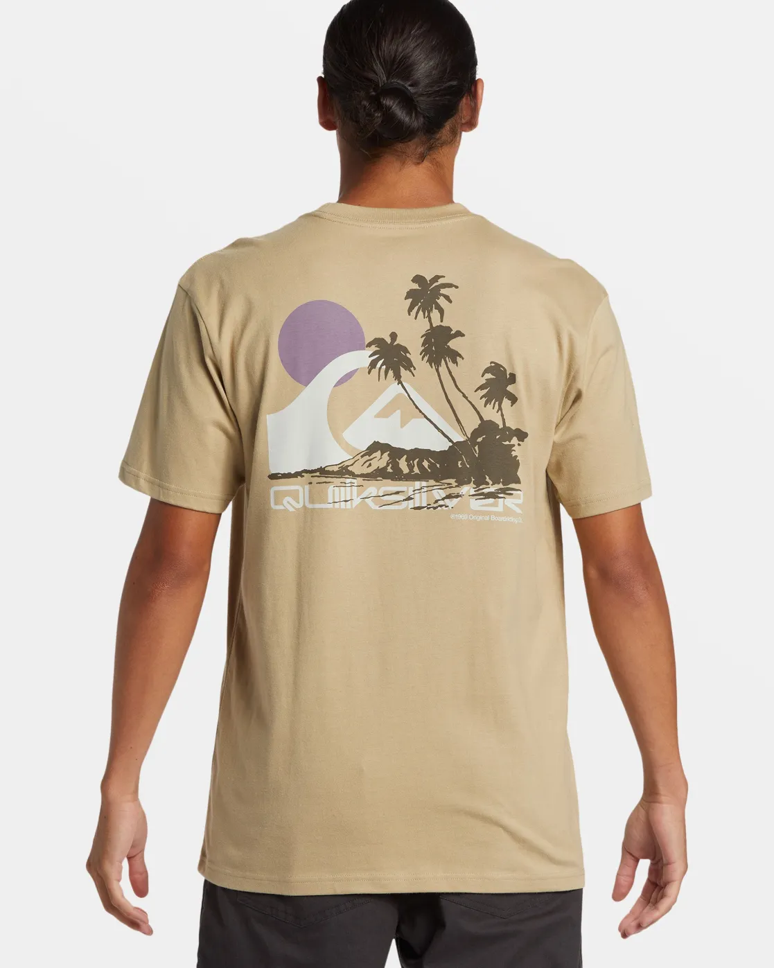 Quiksilver Tees>Island Vibes T-Shirt TWILL