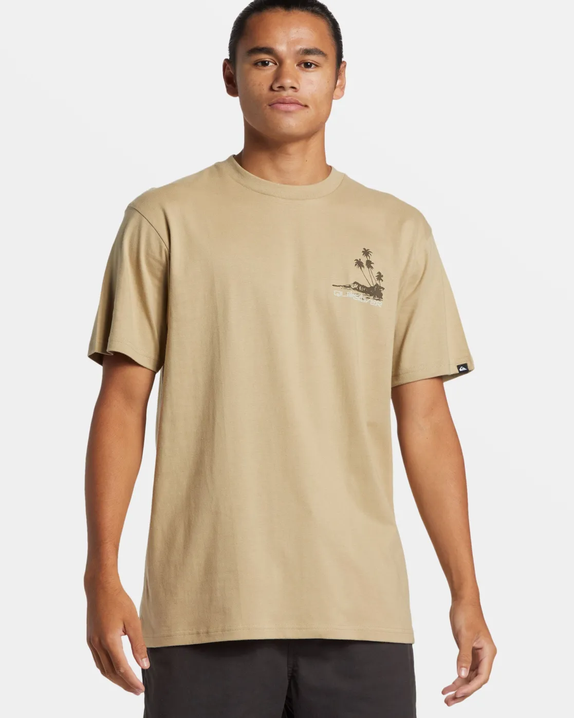 Quiksilver Tees>Island Vibes T-Shirt TWILL