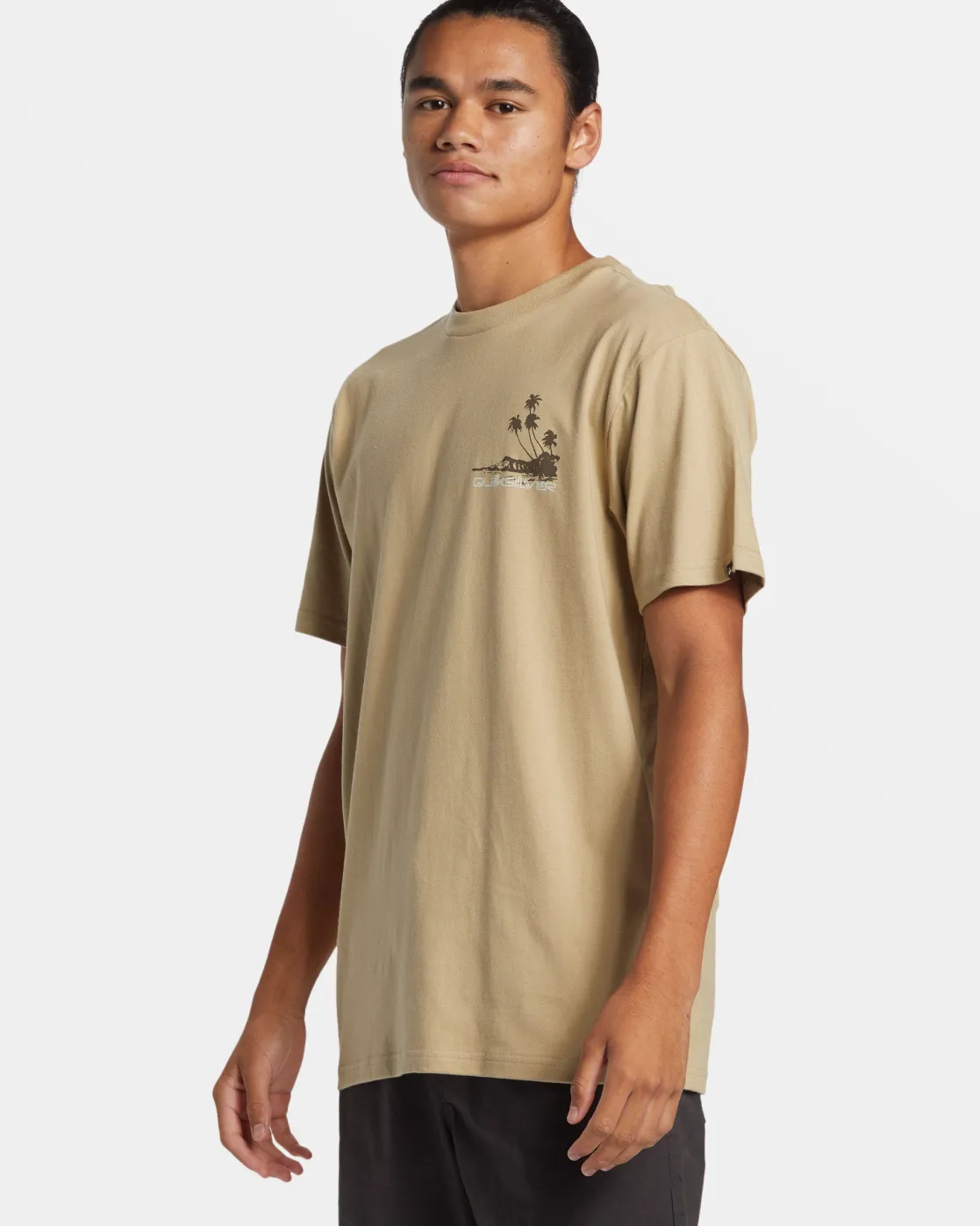 Quiksilver Tees>Island Vibes T-Shirt TWILL
