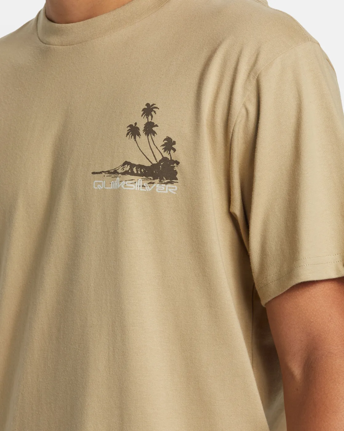 Quiksilver Tees>Island Vibes T-Shirt TWILL