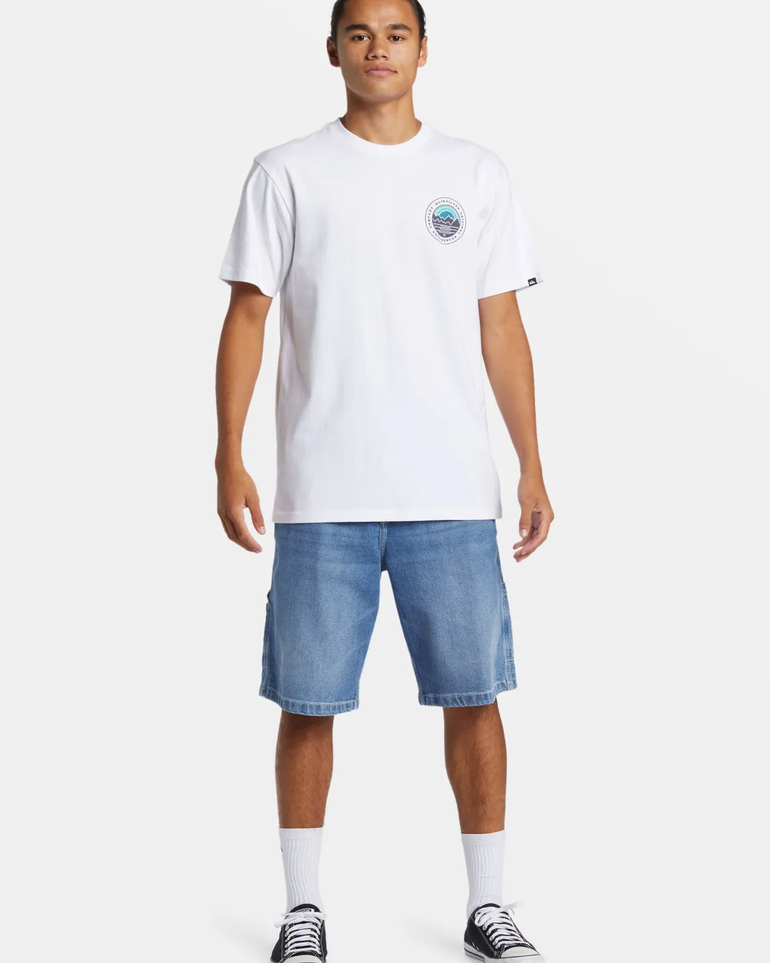 Quiksilver Tees>Landscapes T-Shirt WHITE