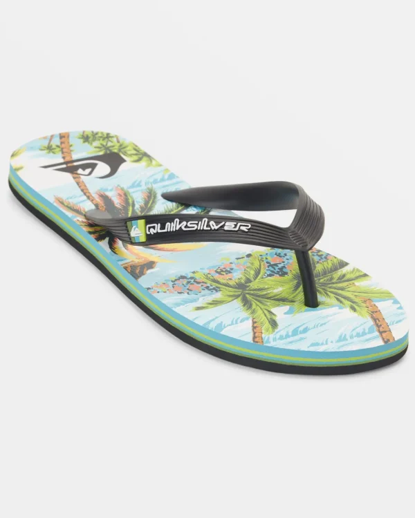 Quiksilver Sandals>Molokai Art II Sandals BLUE6