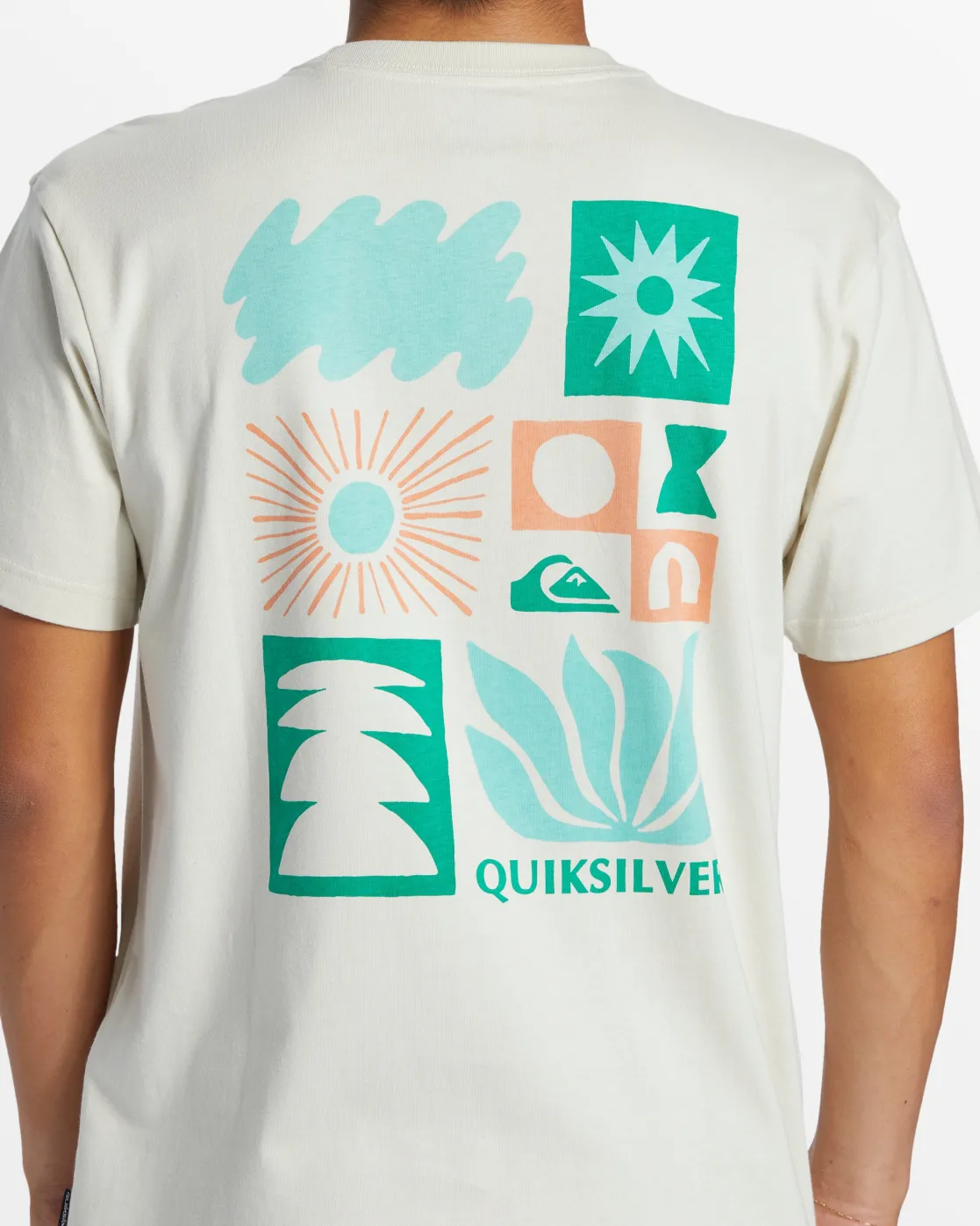 Quiksilver Tees>Natural Forms T-Shirt - SILVERBIRCH