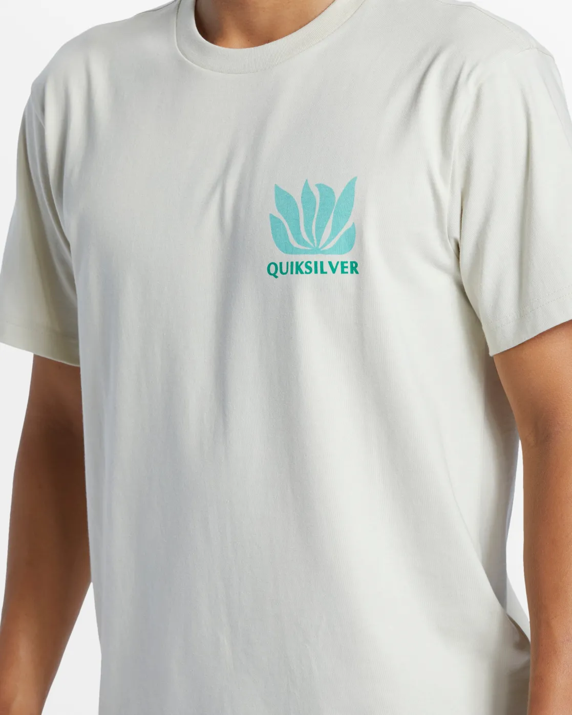 Quiksilver Tees>Natural Forms T-Shirt - SILVERBIRCH