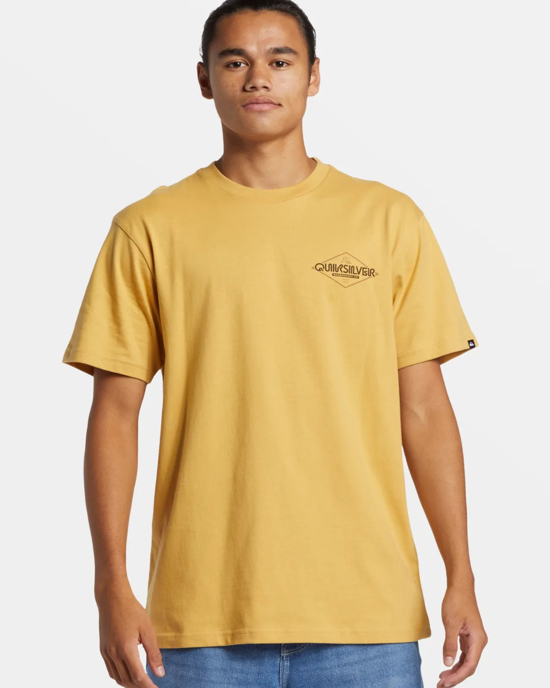 Quiksilver Tees>Omni Sign T-Shirt FALLLEAF