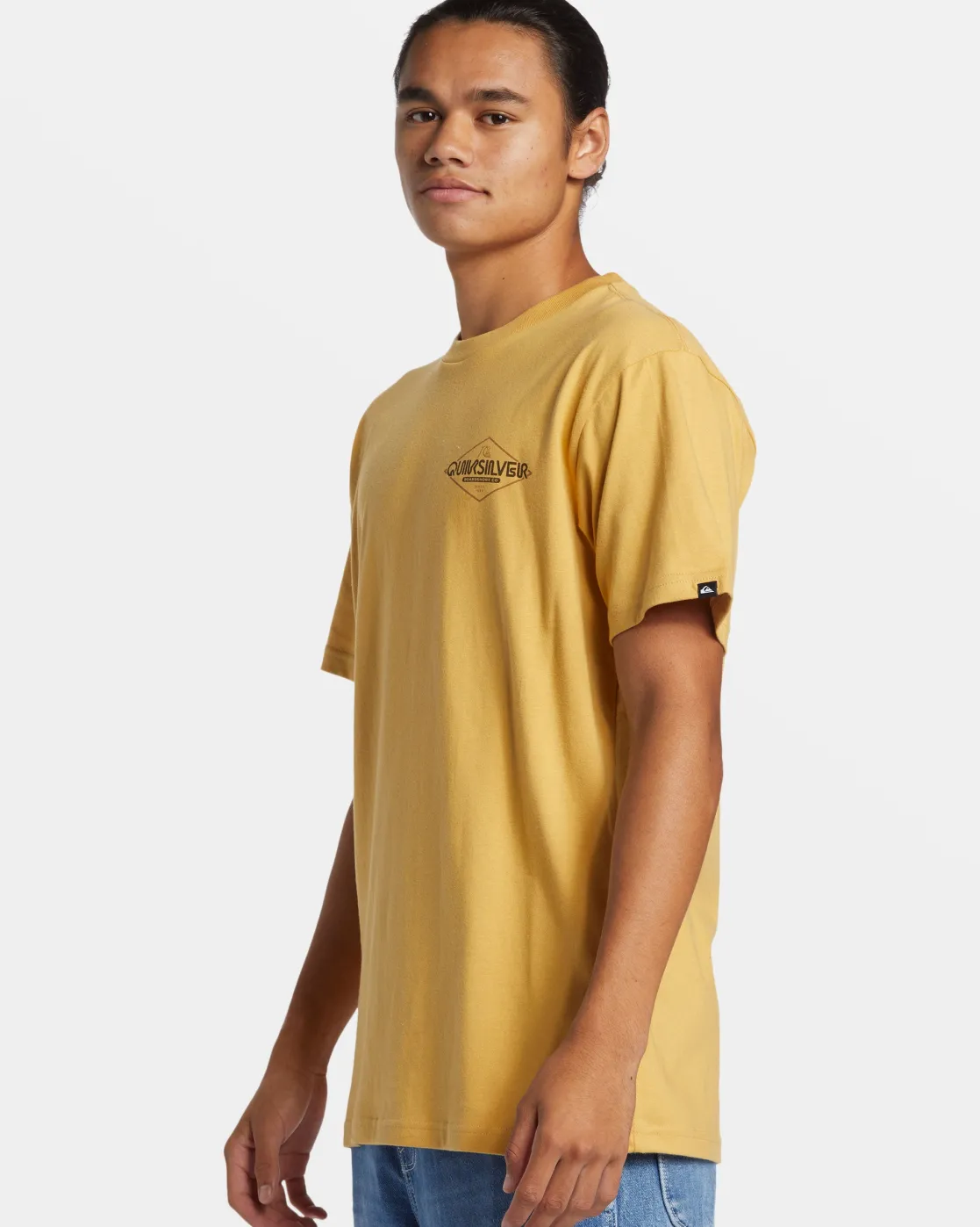 Quiksilver Tees>Omni Sign T-Shirt FALLLEAF
