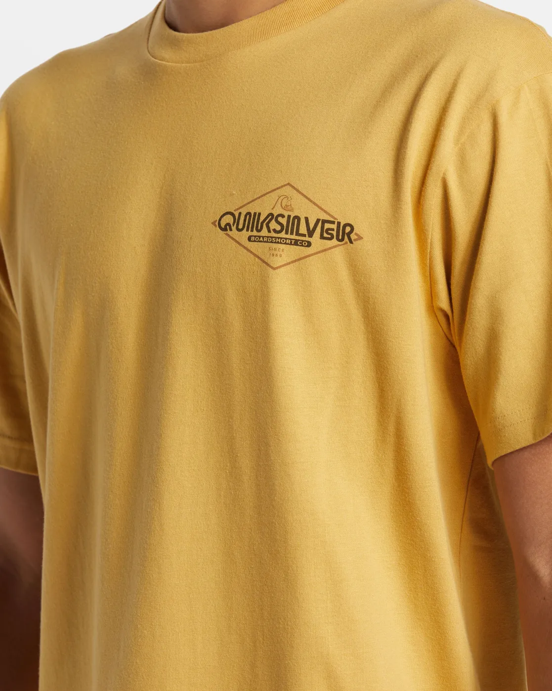 Quiksilver Tees>Omni Sign T-Shirt FALLLEAF