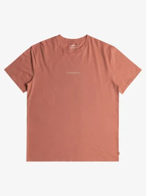 Quiksilver Tees>Peace Phase Tee T-Shirt CANYONCLAY