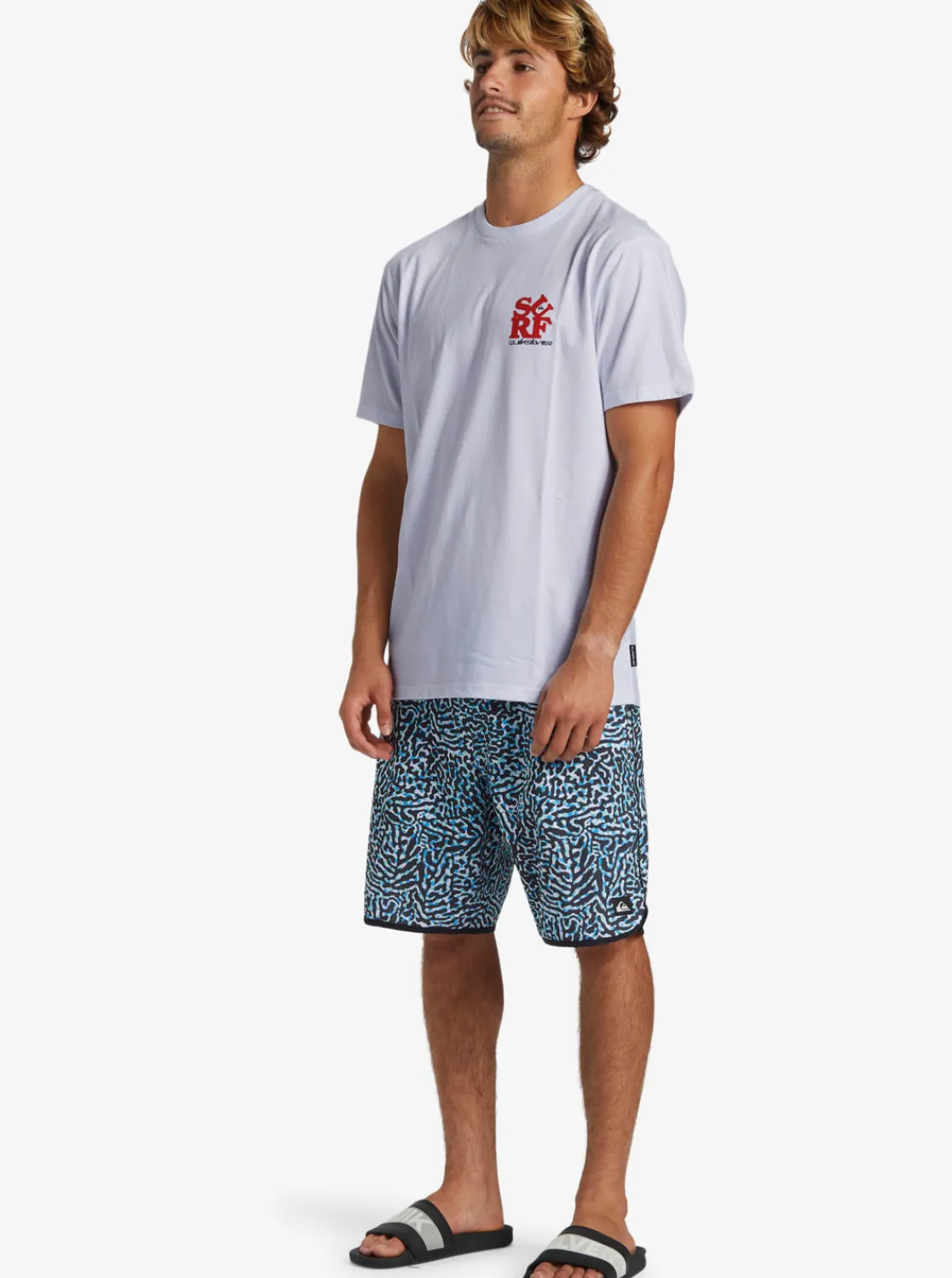 Quiksilver Tees>Surf T-Shirt WHITE