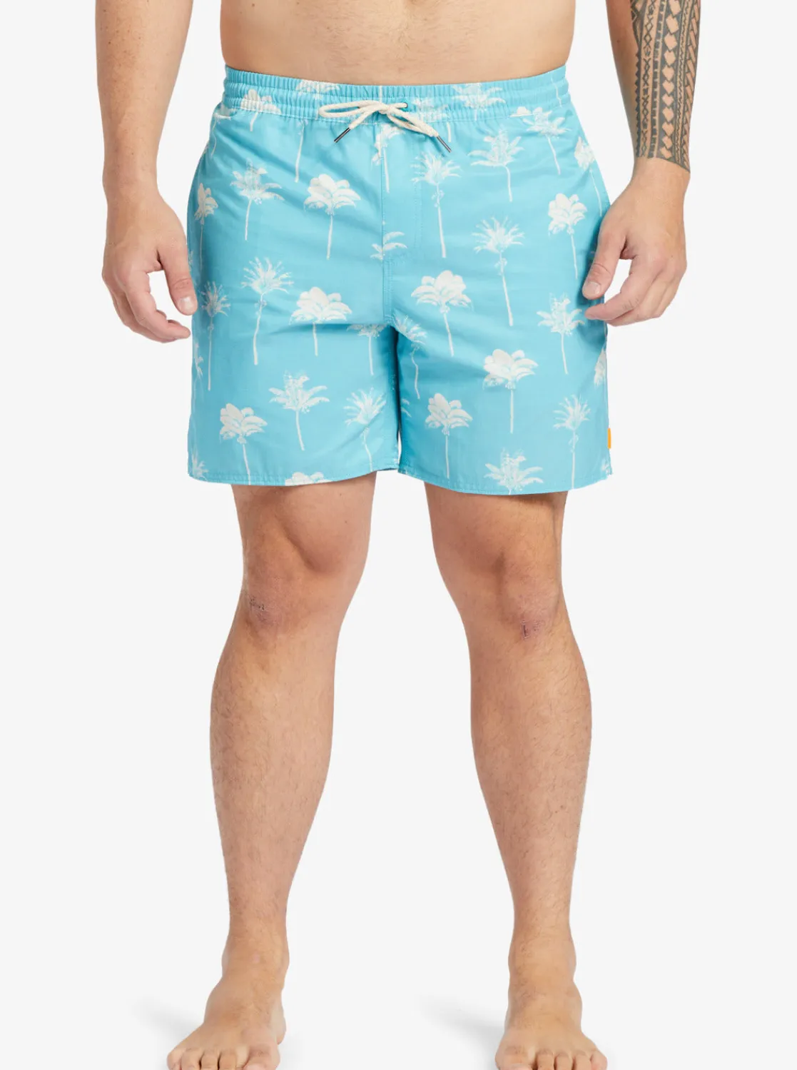 Quiksilver Boardshorts | Boardshorts>Waterman Cliffside 17" Swim Trunks SCUBABLUEAMAZEDPALM